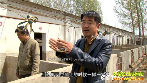 �¸������ó�����׬Ǯ�� ����һ��һ����(20171027)