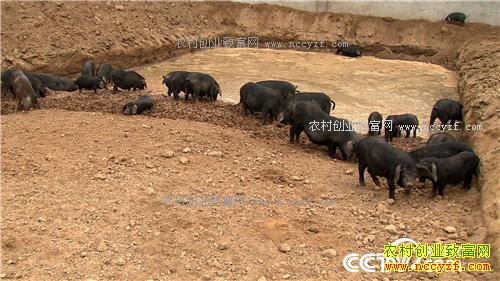 �¸������ó�����׬Ǯ�� ����һ��һ����(20171027)