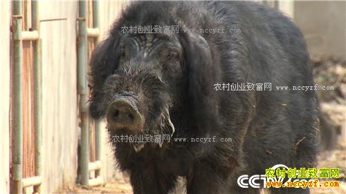 �¸������ó�����׬Ǯ�� ����һ��һ����(20171027)