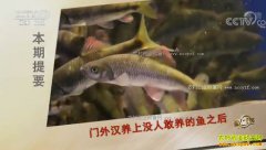 [�¸���]�㽭�²����쳱��ʢά����ֳ��ˮʯ����ÿ���ۼ��ϰ�Ԫ