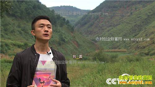 �¸�����һ������365Ԫ ϡ��������ϡ����(20171031)