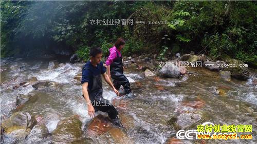 �¸�����һ������365Ԫ ϡ��������ϡ����(20171031)