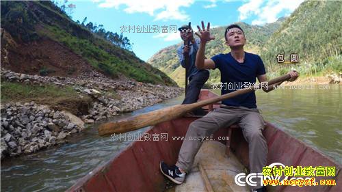 �¸�����һ������365Ԫ ϡ��������ϡ����(20171031)