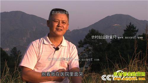 �¸�����һ����֧�ŵ����ͲƸ�(20171101)