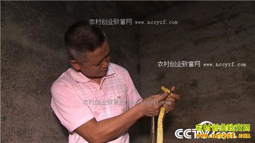 �¸�����һ����֧�ŵ����ͲƸ�(20171101)