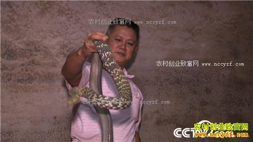 �¸�����һ����֧�ŵ����ͲƸ�(20171101)