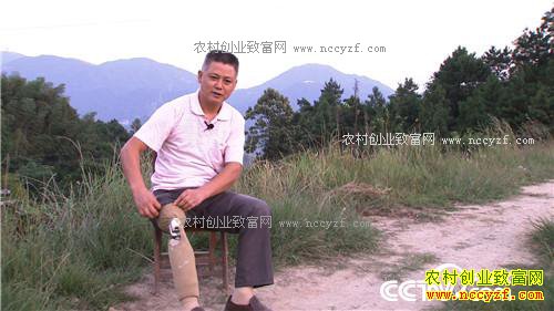 �¸�����һ����֧�ŵ����ͲƸ�(20171101)