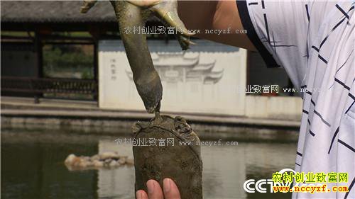 �¸������Ҹ����������� ���ĲƸ�������(20171101)