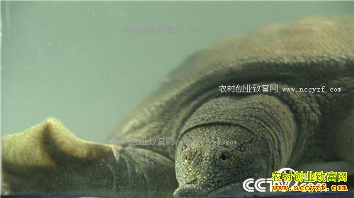 �¸������Ҹ����������� ���ĲƸ�������(20171101)