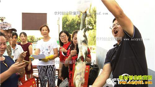 �¸������Ҹ����������� ���ĲƸ�������(20171101)