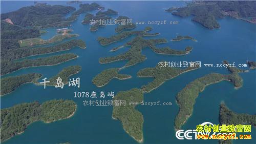 �¸������Ҹ����������� ���ĲƸ�������(20171101)