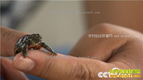 �¸������Ҹ����������� ���ĲƸ�������(20171101)