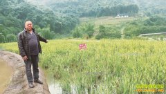 �Ĵ��������壺ɽȪˮ�����ũ���¸�����Ŀ