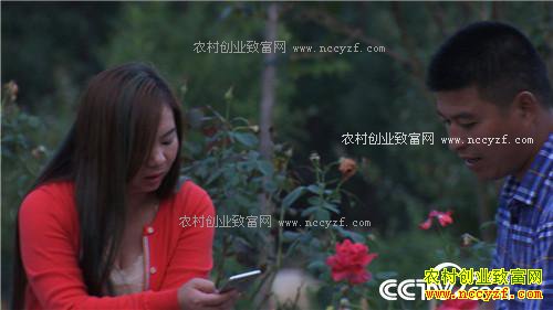 �¸������������� ���ɰ�Ǯ׬(20171106)