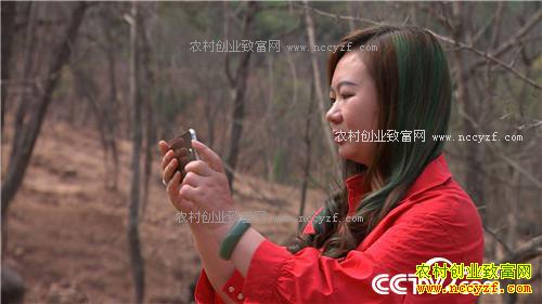 �¸������������� ���ɰ�Ǯ׬(20171106)