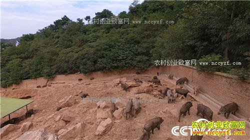 �¸������������� ���ɰ�Ǯ׬(20171106)