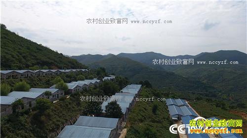 �¸������������� ���ɰ�Ǯ׬(20171106)