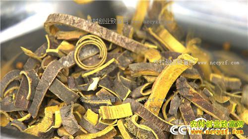 �¸��������������������з����(20171109)