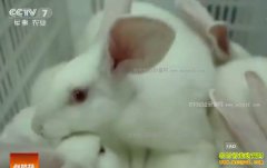 [�Ƽ�Է]�������������ʱ��������