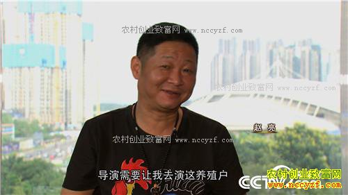 �¸������������ӡ����� һ����Ա�ĲƸ�����(20171113)