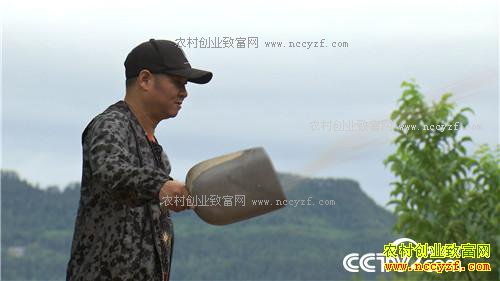 �¸������������ӡ����� һ����Ա�ĲƸ�����(20171113)