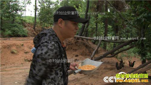 �¸������������ӡ����� һ����Ա�ĲƸ�����(20171113)