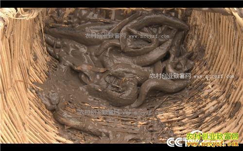 �¸�����˧С������ر���(20171114)