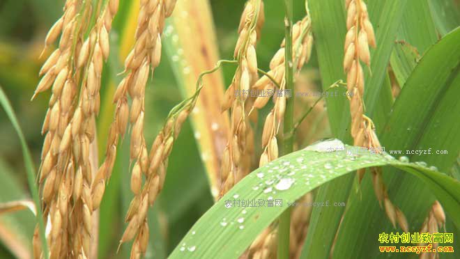 [�¸���]������¡�������ڵ�����������ҵ�¸�