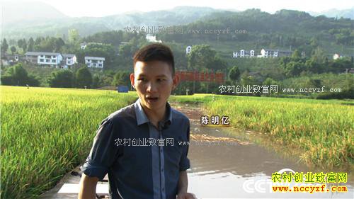 �¸�����˧С������ر���(20171114)