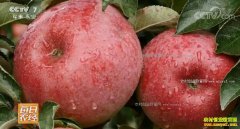 [ÿ��ũ��]���ɹ�����ƻ�����ߺ족֮���׬Ǯ