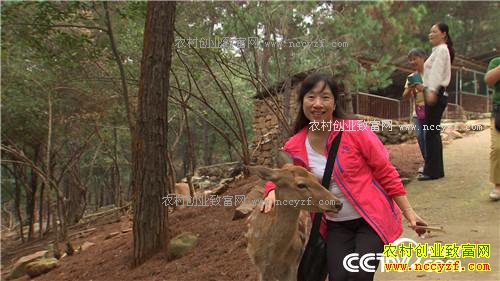 �¸������㾡�Ҳ� ��ǿŮ�ӽ�ɽ���������(20171116)