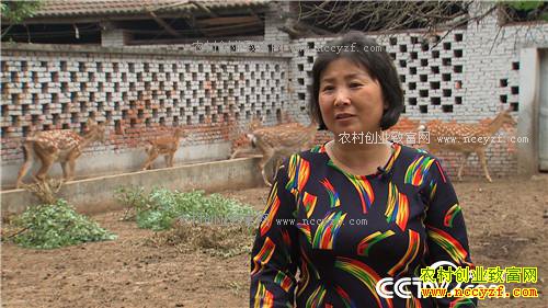 �¸������㾡�Ҳ� ��ǿŮ�ӽ�ɽ���������(20171116)