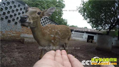 �¸������㾡�Ҳ� ��ǿŮ�ӽ�ɽ���������(20171116)