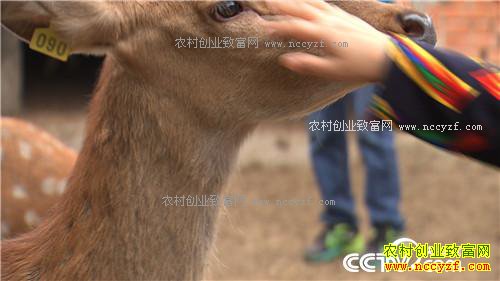 �¸������㾡�Ҳ� ��ǿŮ�ӽ�ɽ���������(20171116)