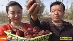 [�Ƽ�Է]�½����������ƽ�������������