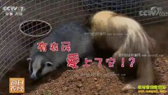 [ÿ��ũ��]�亦Ϊ��������˹���ֳ��׬Ǯ