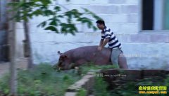 [�¸���]���в��� ��������ΰ������˳׬Ǯ������