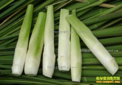 ��������������·�ó������ɽũ���¸�����Ŀ