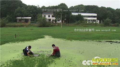 �¸�����ˮ����Ư���ĲƸ�(20171120)