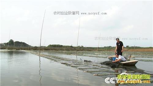 �¸�����ˮ����Ư���ĲƸ�(20171120)