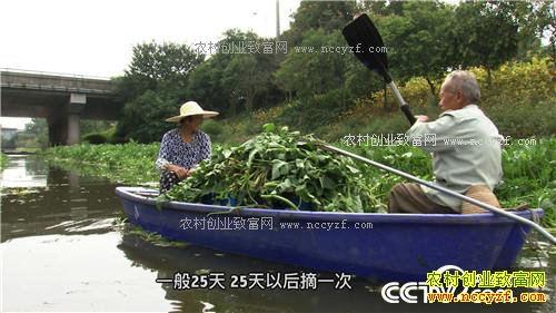 �¸�����ˮ����Ư���ĲƸ�(20171120)