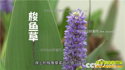 �¸�����ˮ����Ư���ĲƸ�(20171120)