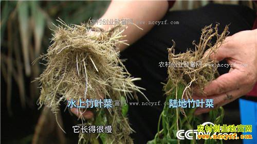 �¸�����ˮ����Ư���ĲƸ�(20171120)