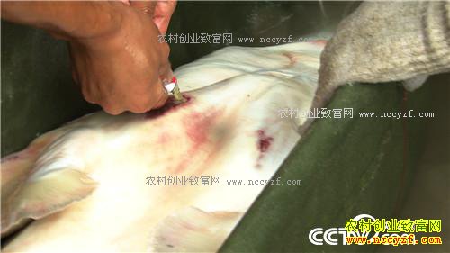 �¸��������ĲƸ������� ƫƫҪ�ڻ����(20171121)