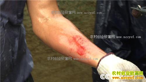 �¸��������ĲƸ������� ƫƫҪ�ڻ����(20171121)