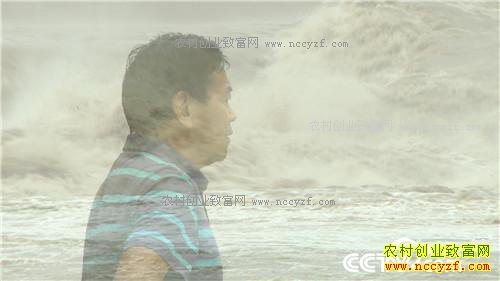 �¸��������ĲƸ������� ƫƫҪ�ڻ����(20171121)