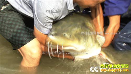 �¸��������ĲƸ������� ƫƫҪ�ڻ����(20171121)