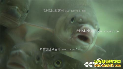 �¸��������ĲƸ������� ƫƫҪ�ڻ����(20171121)