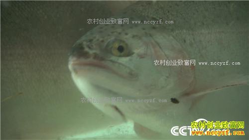 �¸��������ĲƸ������� ƫƫҪ�ڻ����(20171121)