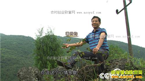 �¸��������ĲƸ������� ƫƫҪ�ڻ����(20171121)